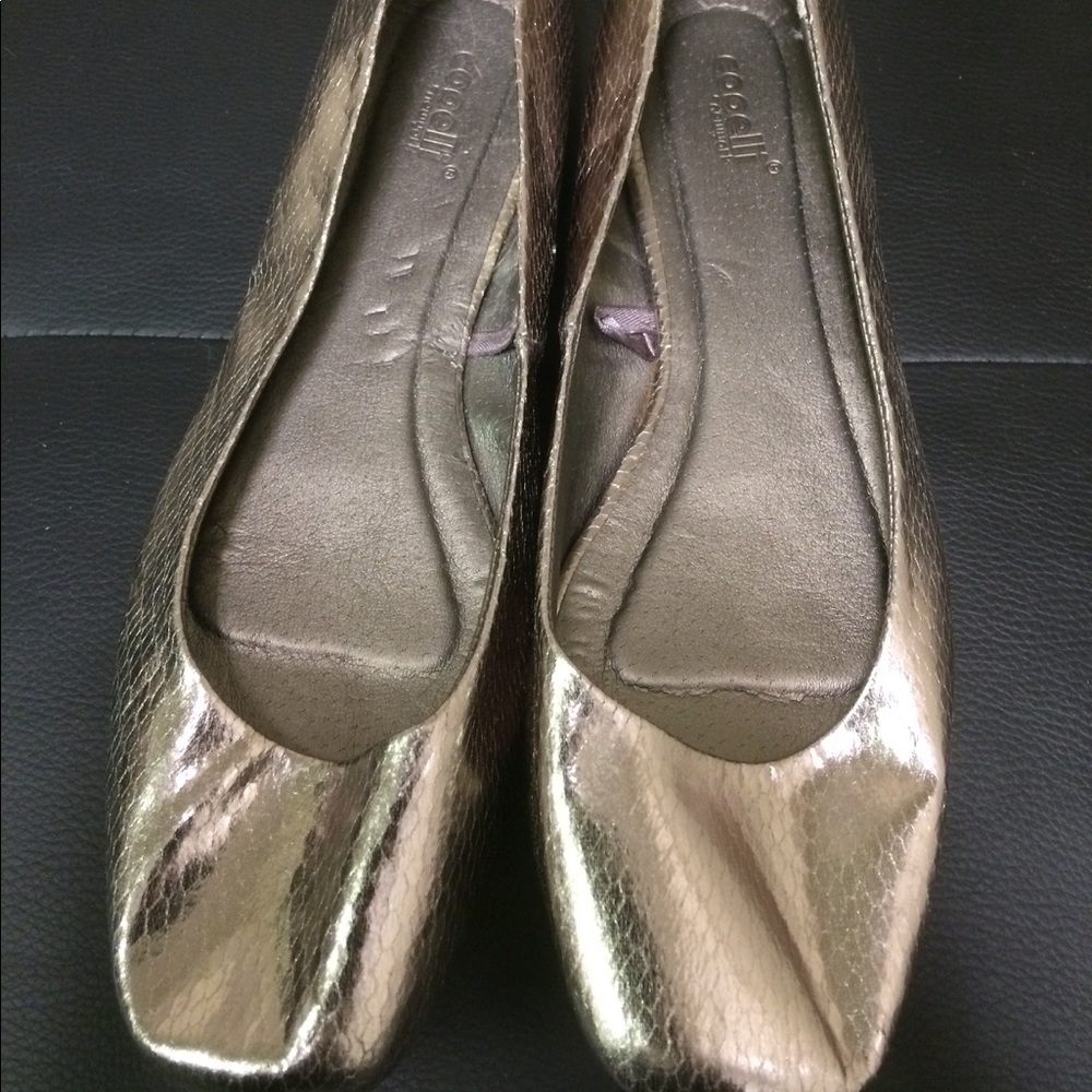 Silver slides
